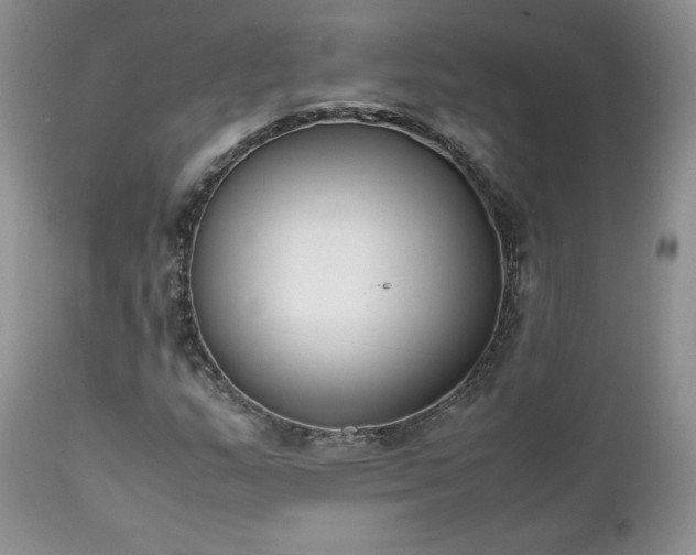 X0000111781159200907301114