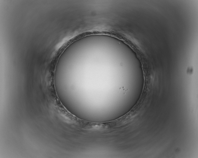 X0000111781160200907301114