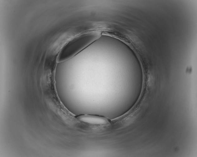 X0000111781161200907301114