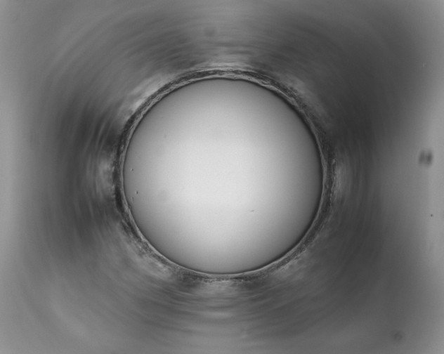 X0000111781162200907301114
