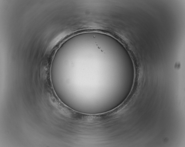 X0000111781163200907301114