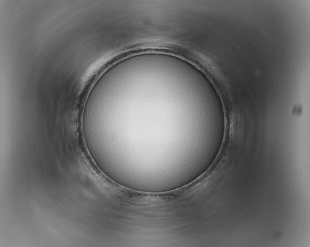 X0000111781164200907301114