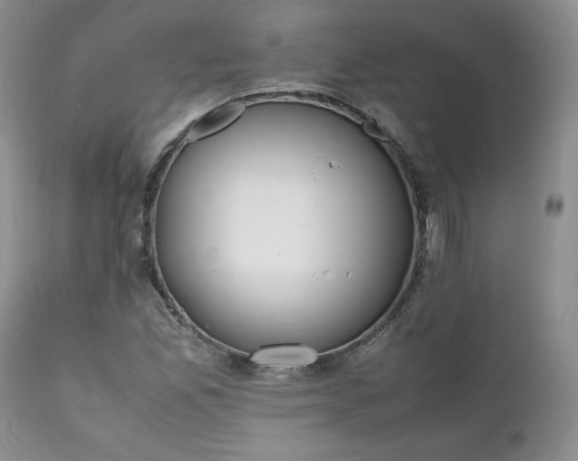 X0000111781165200907301114