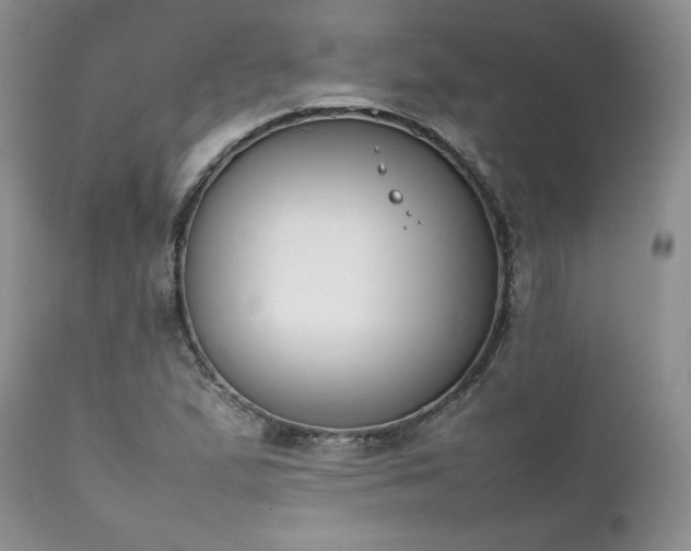 X0000111781167200907301114