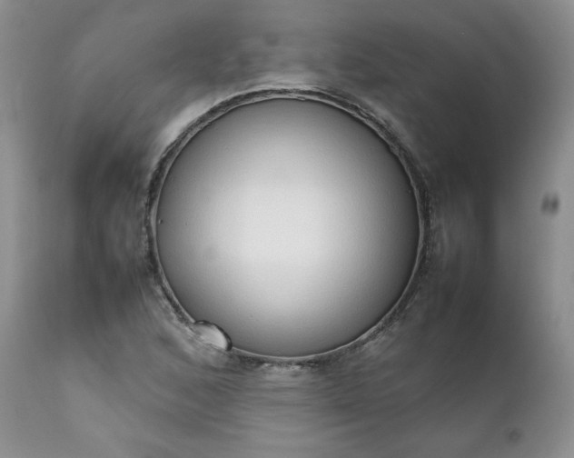X0000111781168200907301114