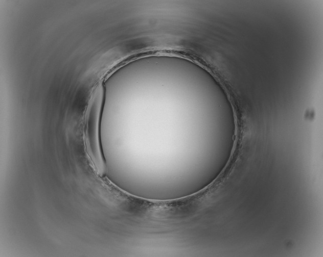 X0000111781169200907301114