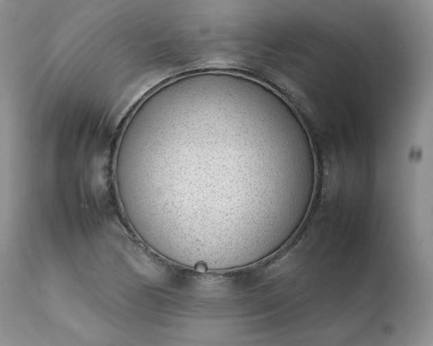 X0000111781170200907301114