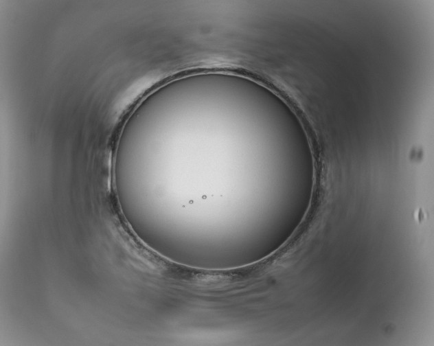 X0000111781171200907301114