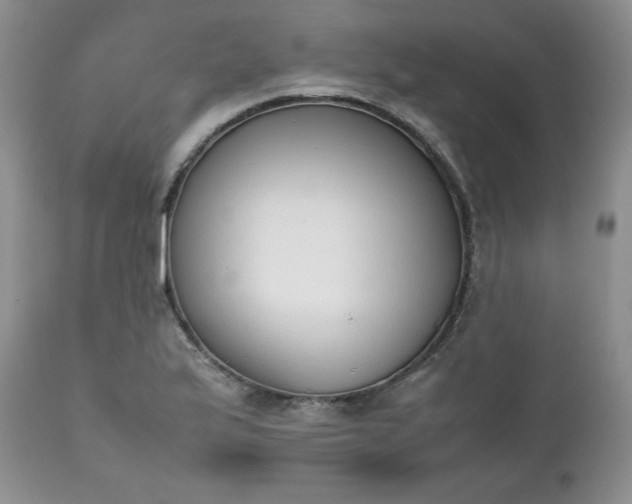 X0000111781175200907301114