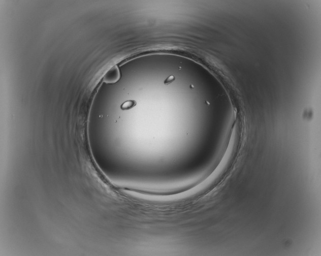 X0000111781177200907301114