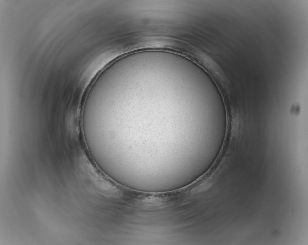 X0000111781178200907301114