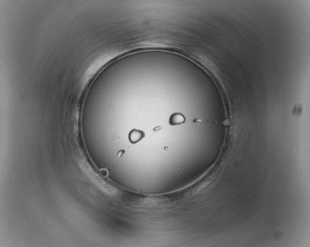 X0000111781179200907301114