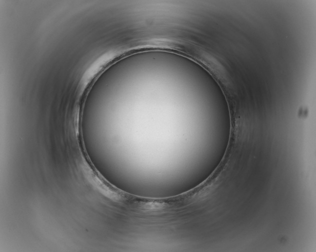 X0000111781180200907301114