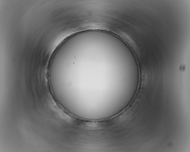 X0000111781182200907301114
