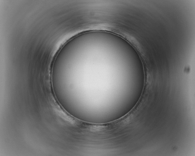 X0000111781184200907301113
