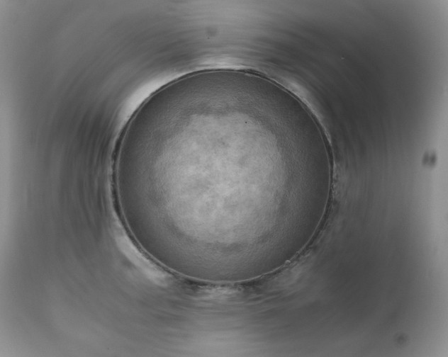 X0000111781187200907301113