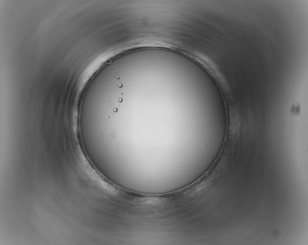 X0000111781188200907301113