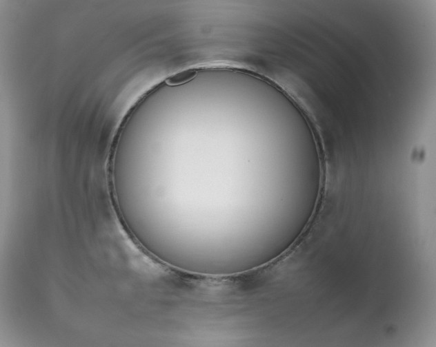 X0000111781189200907301113