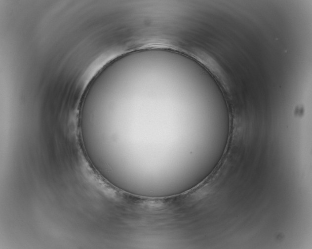 X0000111781190200907301113