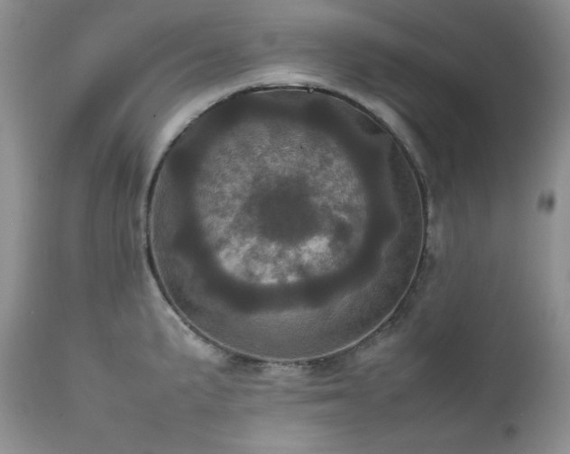 X0000111781191200907301113