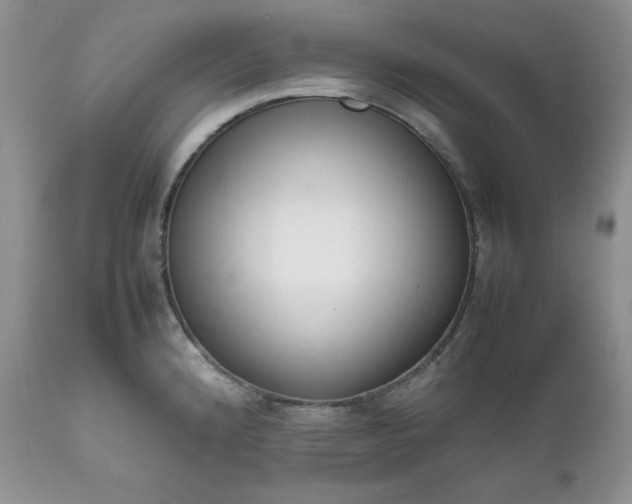 X0000111781192200907301113