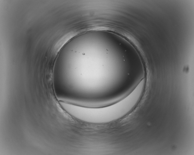 X0000111781193200907301113