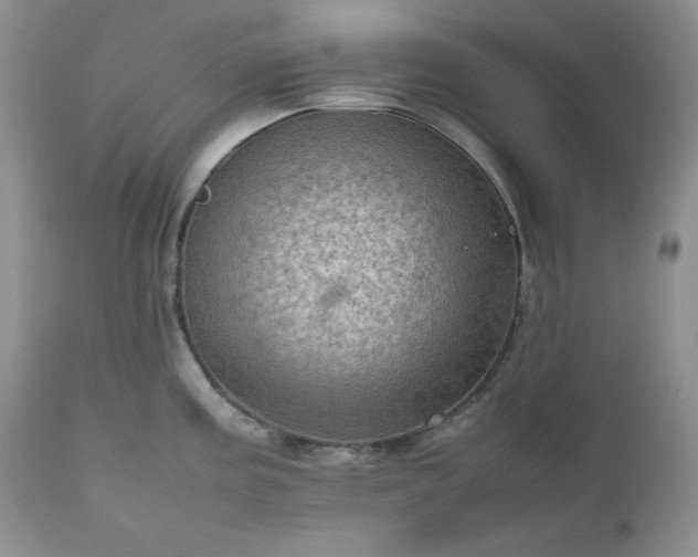 X0000111781195200907301113