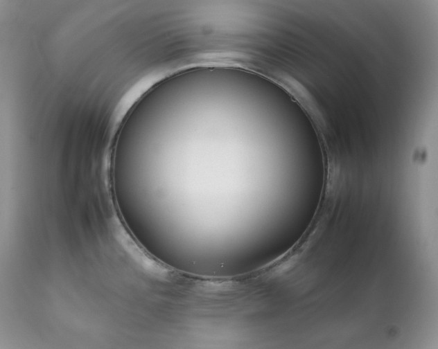 X0000111781196200907301113