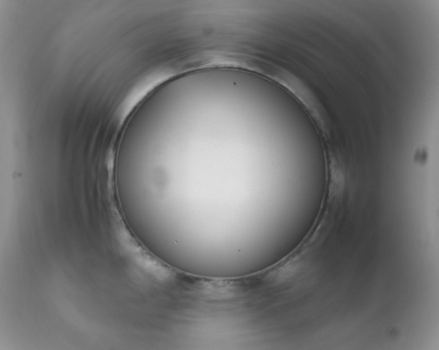 X0000111781198200907301113