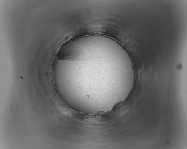 X0000111781201200907301112