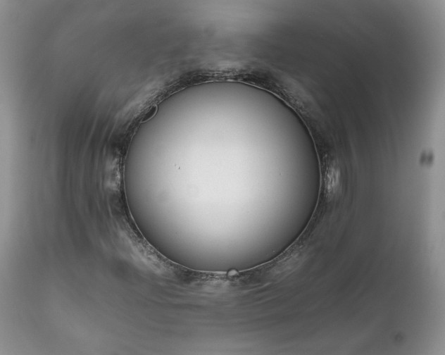 X0000111781204200907301112