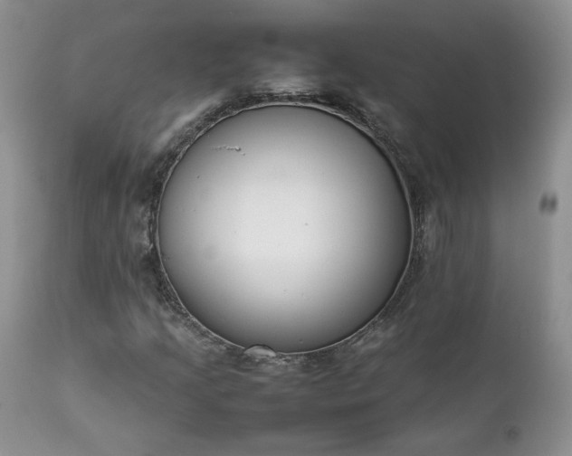 X0000111781205200907301112