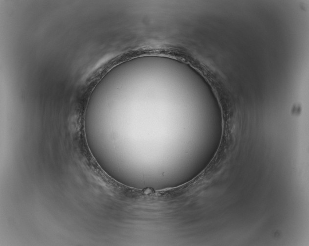 X0000111781206200907301112