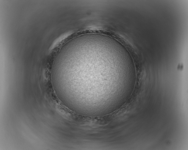 X0000111781207200907301113