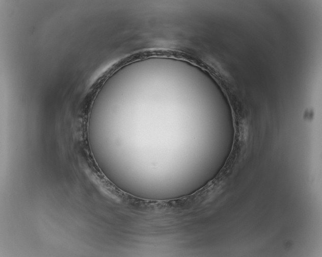 X0000111781208200907301113