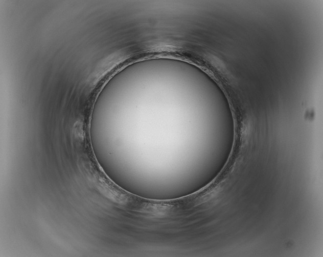 X0000111781209200907301113