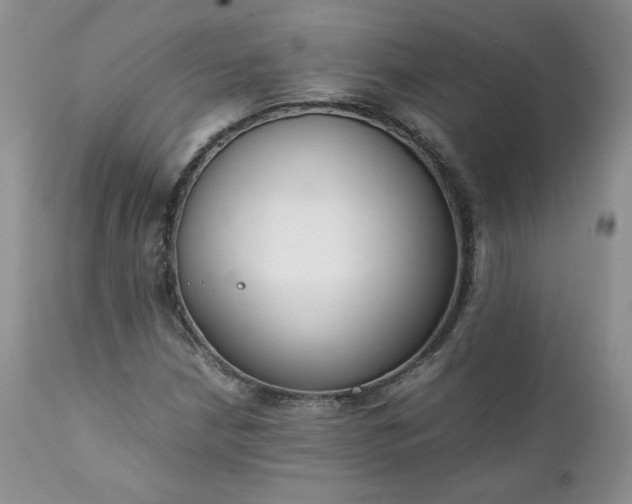 X0000111781210200907301113