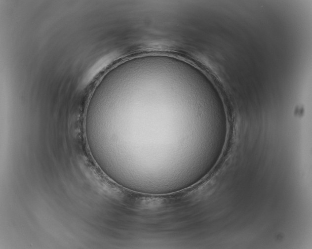 X0000111781211200907301113