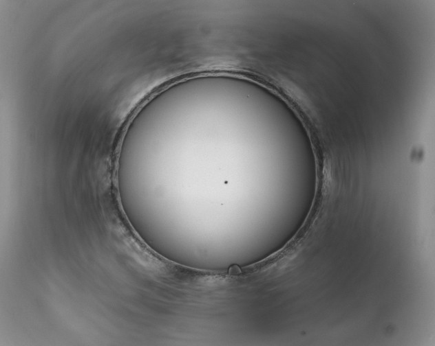 X0000111781212200907301113