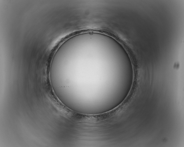 X0000111781214200907301113