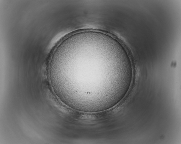 X0000111781215200907301113