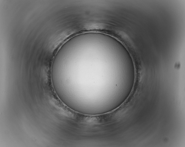 X0000111781217200907301113