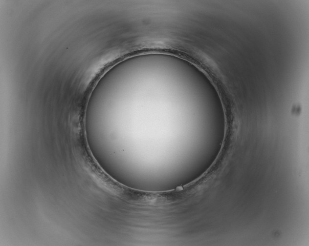 X0000111781218200907301113