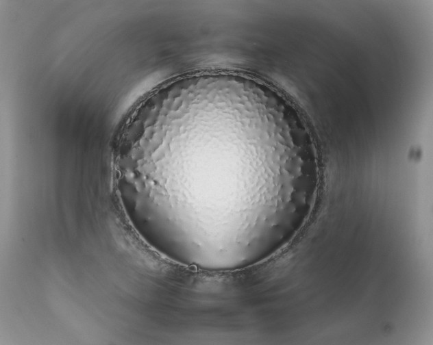 X0000111781219200907301113