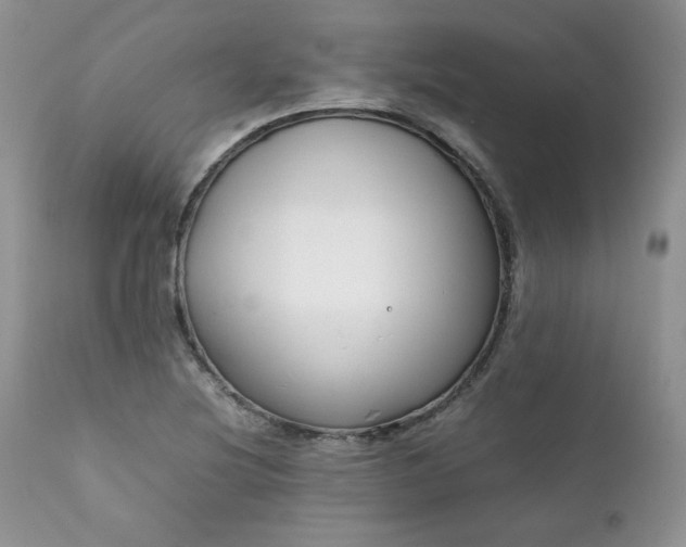 X0000111781220200907301113