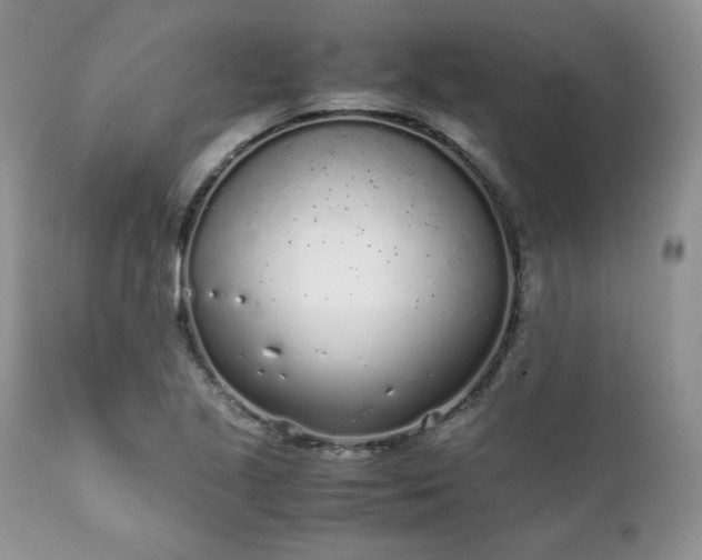 X0000111781221200907301113