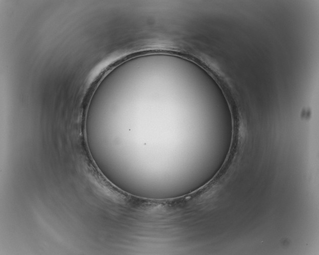 X0000111781222200907301113