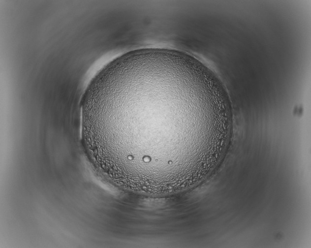 X0000111781223200907301113
