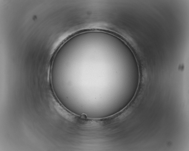 X0000111781224200907301113