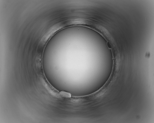 X0000111781225200907301113